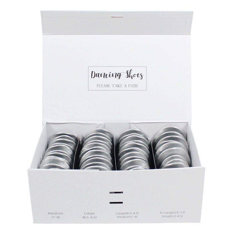 Silver Ladies Wedding Guest Shoes Box Set