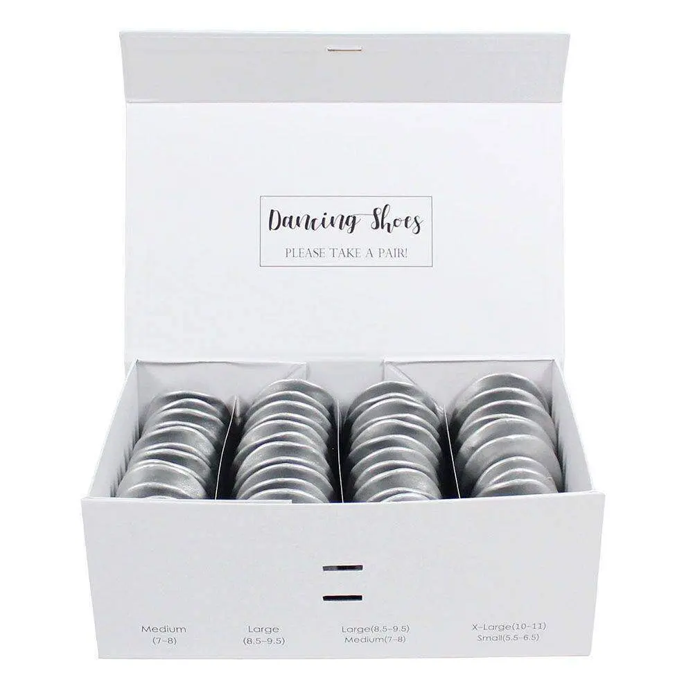 Silver Ladies Wedding Guest Shoes Box Set