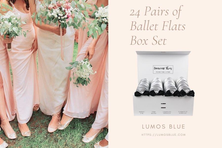 Wedding Guests (20 Foldable Ballet Flats Box Set) by Lumos Blue