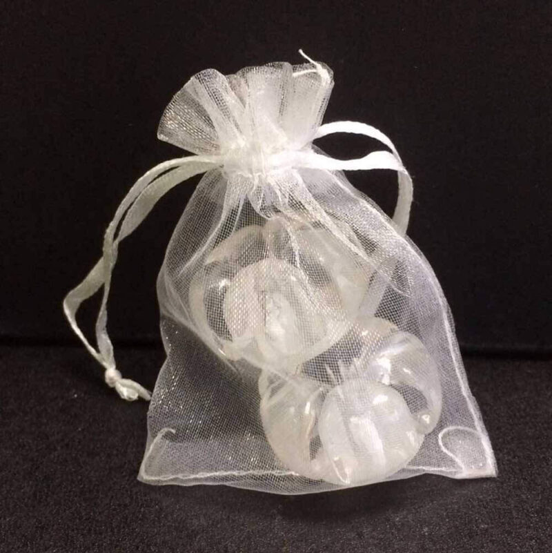 Heel stoppers in orgenza drawstring bag by Lumos Blue